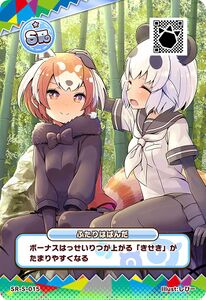 Photo from Kemono Friends 3: Planet Tours.