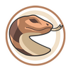 KFKTsuchinokoH1.png