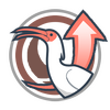 KFKCrestedIbisH1.png