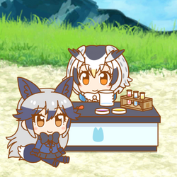 ExcitingExperimentSetBehavior.png