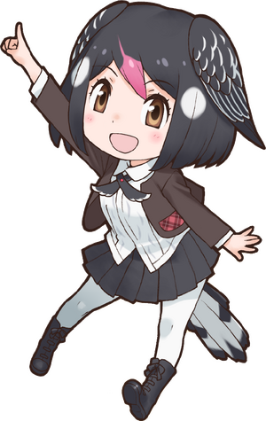Greater HoneyguideOriginal.png