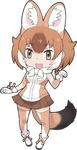 DholeThumb.png