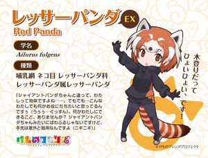 Lesser Panda EX profile posted by Kemono Friends Project Twitter account.