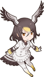 Northern GoshawkOriginal.png