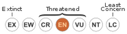 Status iucn3.1 EN.svg.png